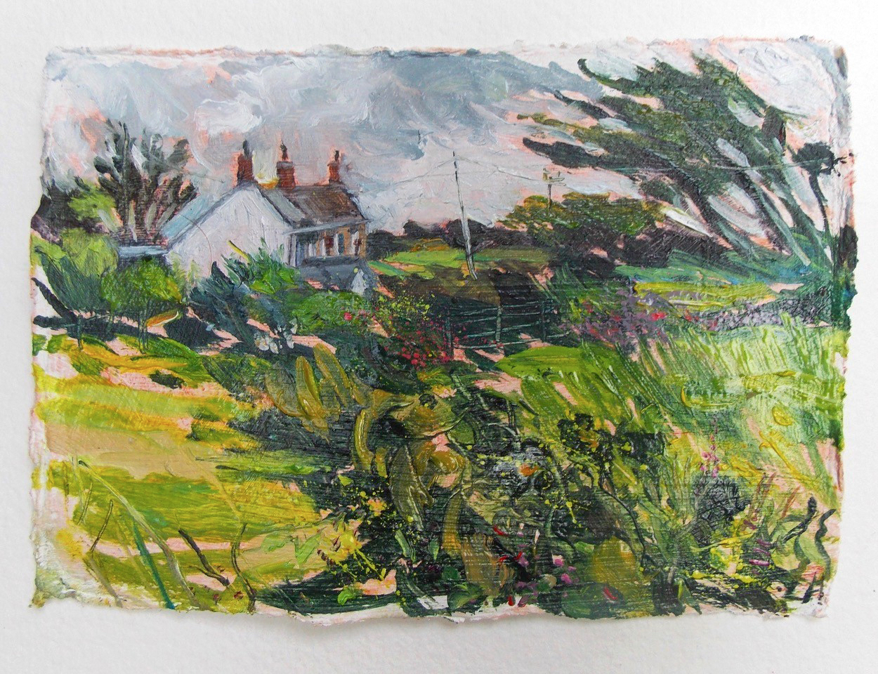 Cornish Cottage - Cornish Art